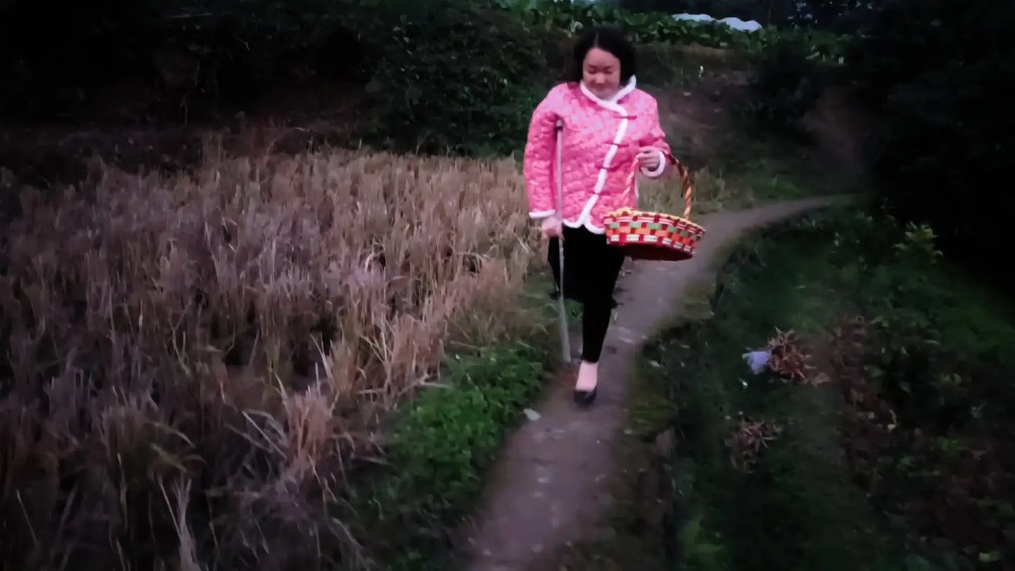 Sasa: Sak lady was picking oranges in the orchard AmputeeClub