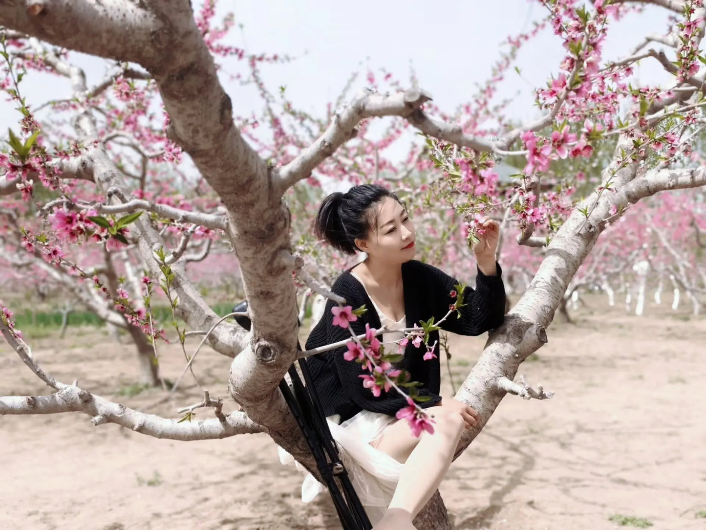 Emma: Shd lady in the peach blossom blooming forest AmputeeClub
