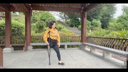 The SAK Lady Aurora - Strolling through the park on crutches