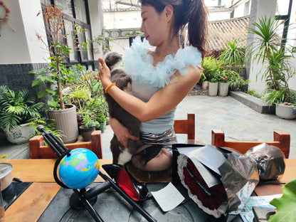 Ayla: Sak Amputee Girl - Black Stockings Show with Dismembered Limbs