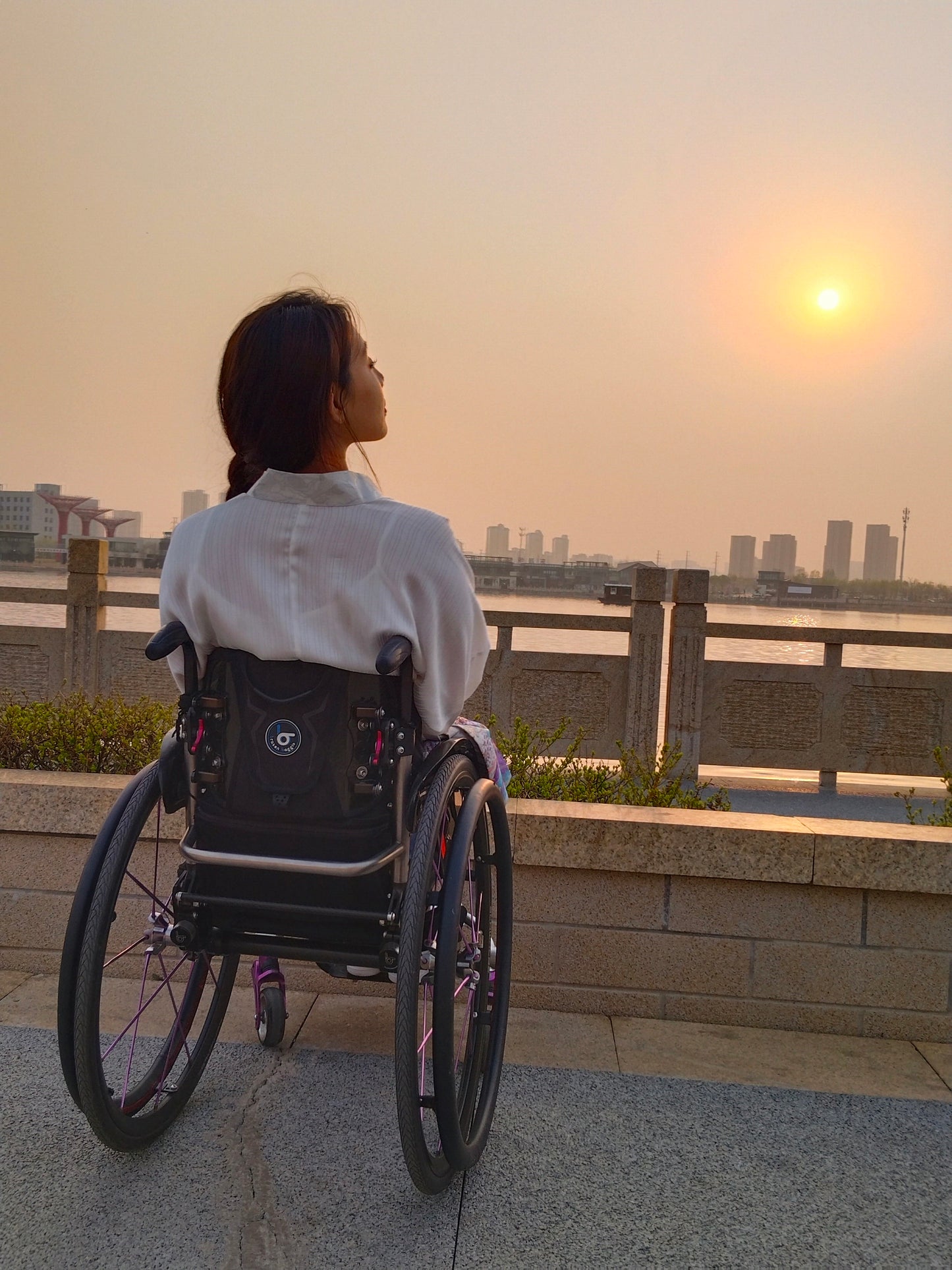 Kitty the Para-Girl — Watching the Sunset from a Wheelchair