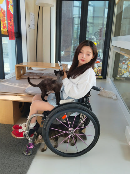 The Para Girl Kitty - Interact closely with kittens