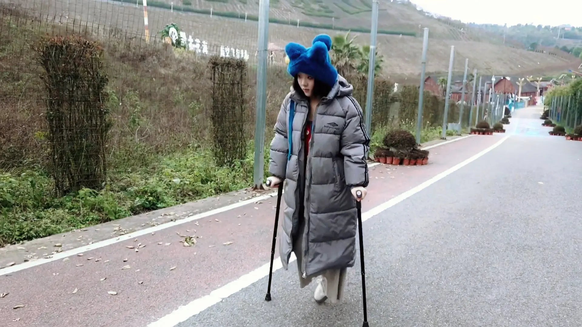 Lingo came to the park for a walk