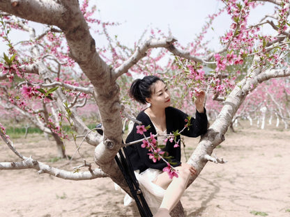 Emma: Shd lady in the peach blossom blooming forest